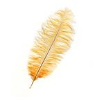 Перо для декора, длина: от 45 до 60 см, цвет горчичный - Фото 1