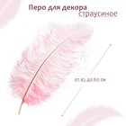 Перо для декора, длина: от 45 до 60 см, цвет розовый - фото 318584847