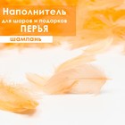 Наполнитель из перьев для шаров и подарков, шампань, 6гр. 6943912 - фото 9342701