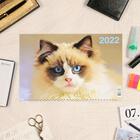 Календарь квартальный трио "Коты, 2022 - 1" 31 х 69 см - Фото 2