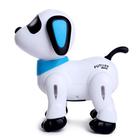 Робот «Пультовод собачка», на дистанционном управлении, русский чип, световые эффекты, работает от батареек - Фото 2