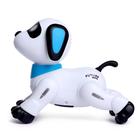 Робот «Пультовод собачка», на дистанционном управлении, русский чип, световые эффекты, работает от батареек - Фото 3