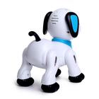 Робот «Пультовод собачка», на дистанционном управлении, русский чип, световые эффекты, работает от батареек - Фото 4