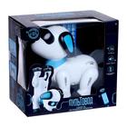 Робот «Пультовод собачка», на дистанционном управлении, русский чип, световые эффекты, работает от батареек - Фото 6