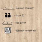 Ламинат для пола Woodstyle PRONTO 832 Egger Н2968, 32 класс, 8 мм, цвет дуб сиена, 1.98 м2 - Фото 2