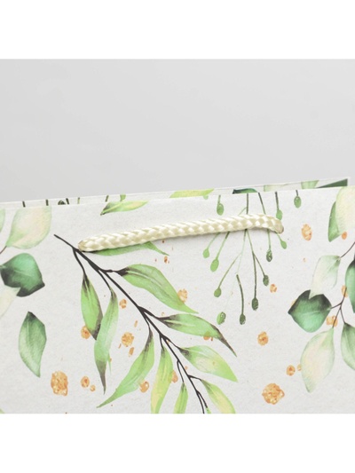 Пакет подарочный ламинированный, упаковка, Present for you, ML 21×25×8 см