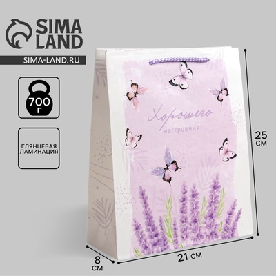 Пакет подарочный ламинированный, упаковка, Special for you, ML 21×25×8 см