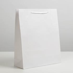 Пакет подарочный ламинированный, упаковка, «Белый», ML 21 х 25 х 8 см