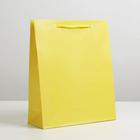 Пакет подарочный ламинированный, упаковка, «Жёлтый», ML 21 х 25 х 8 см - Фото 1