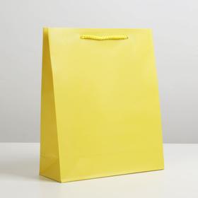 Пакет подарочный ламинированный, упаковка, «Жёлтый», ML 21 х 25 х 8 см