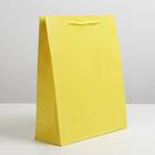 Пакет подарочный ламинированный, упаковка, «Жёлтый», ML 21 х 25 х 8 см - Фото 2