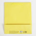 Пакет подарочный ламинированный, упаковка, «Жёлтый», ML 21 х 25 х 8 см - Фото 4