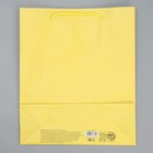 Пакет подарочный ламинированный, упаковка, «Жёлтый», ML 21 х 25 х 8 см - Фото 6
