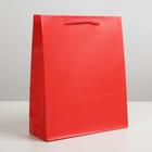 Пакет подарочный ламинированный, упаковка, «Красный», ML 21 х 25 х 8 см - фото 318585958