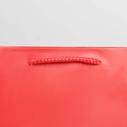 Пакет подарочный ламинированный, упаковка, «Красный», ML 21 х 25 х 8 см (комплект 2 шт) - фото 26311050