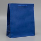 Пакет подарочный ламинированный, упаковка, «Синий», ML 21 х 25 х 8 см - фото 318585962