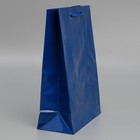 Пакет подарочный ламинированный, упаковка, «Синий», ML 21 х 25 х 8 см - Фото 2