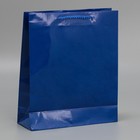 Пакет подарочный ламинированный, упаковка, «Синий», ML 21 х 25 х 8 см - Фото 3