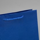 Пакет подарочный ламинированный, упаковка, «Синий», ML 21 х 25 х 8 см - Фото 4