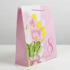 Пакет подарочный ламинированный, упаковка, «8 марта», ML 21 х 25 х 8 см - Фото 2