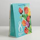 Пакет подарочный ламинированный вертикальный, упаковка, «Тюльпаны», ML 23 х 27 х 8 см - Фото 2