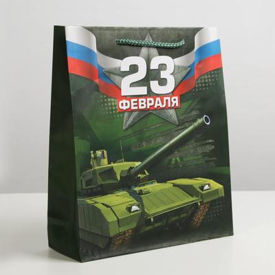 Пакет подарочный ламинированный, упаковка, «С 23 февраля!», ML 23 х 27 х 8 см