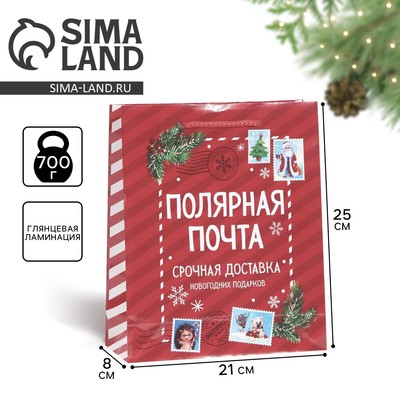 Пакет подарочный новогодний ламинированный «Полярная почта», ML 21×25×8 см