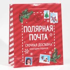 Пакет подарочный новогодний ламинированный «Полярная почта», ML 21 х 25 х 8 см , Новый год (комплект 2 шт) - фото 21329169