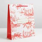 Пакет ламинированный «Новогодняя пора», ML 23 х 27 х 8 см 6765821