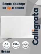 Папка-конверт на ZIP-молнии A4, 150 мкм, Calligrata, прозрачная, белая молния - Фото 1