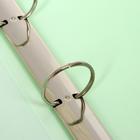 Папка на 4 кольцах А4, Calligrata, 40 мм, 700 мкм, внутренний карман, карман на корешок, салатовая - Фото 4