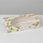 УЦЕНКА Коробочка для пончиков «Шишки», 10 х 20 х 5 см - Фото 1