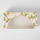 УЦЕНКА Коробочка для пончиков «Шишки», 10 х 20 х 5 см - Фото 3