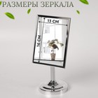 Зеркало настольное, зеркальная поверхность 13 × 16 см, цвет серебристый 6890256 - фото 12516242