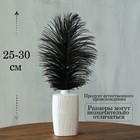 Перо для декора, размер: 25-30 см, чёрное - Фото 2