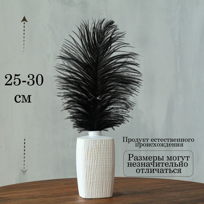 Перо для декора, размер: 25-30 см, чёрное