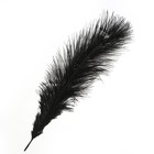 Перо для декора, размер: 25-30 см, чёрное - Фото 3