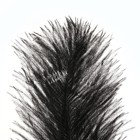 Перо для декора, размер: 25-30 см, чёрное - Фото 4