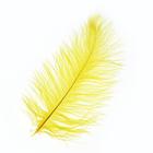 Перо для декора, размер: 25-30 см, цвет жёлтый - Фото 1