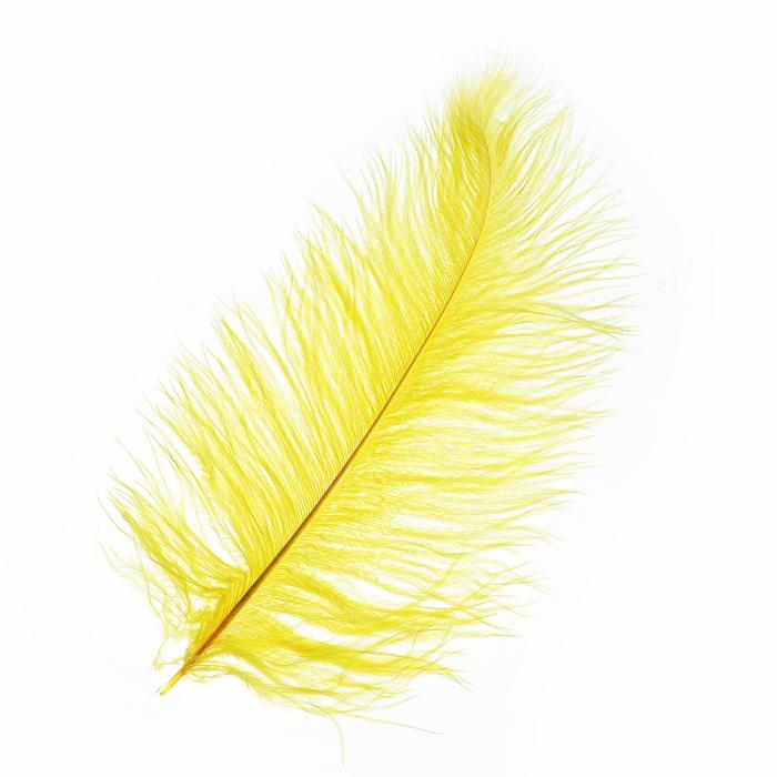 Перо для декора, размер: 25-30 см, цвет жёлтый - Фото 1