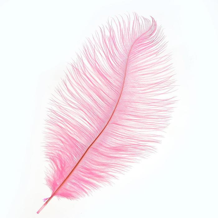 Перо для декора, размер: 25-30 см, цвет розовый - Фото 1