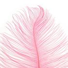 Перо для декора, размер: 25-30 см, цвет розовый - фото 6453221
