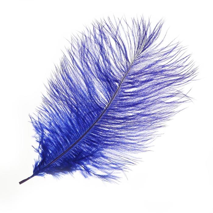 Перо для декора, размер: 25-30 см, цвет синий