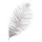 Перо для декора, размер: 25-30 см, цвет серый - Фото 1