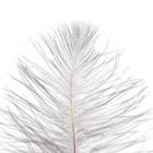 Перо для декора, размер: 25-30 см, цвет серый - Фото 2