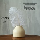 Перо для декора, размер: 25-30 см, цвет белый - Фото 2