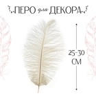 Перо для декора, размер: 25-30 см, цвет белый - Фото 3