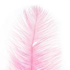 Перо для декора, размер: 30-35 см, цвет розовый - Фото 2