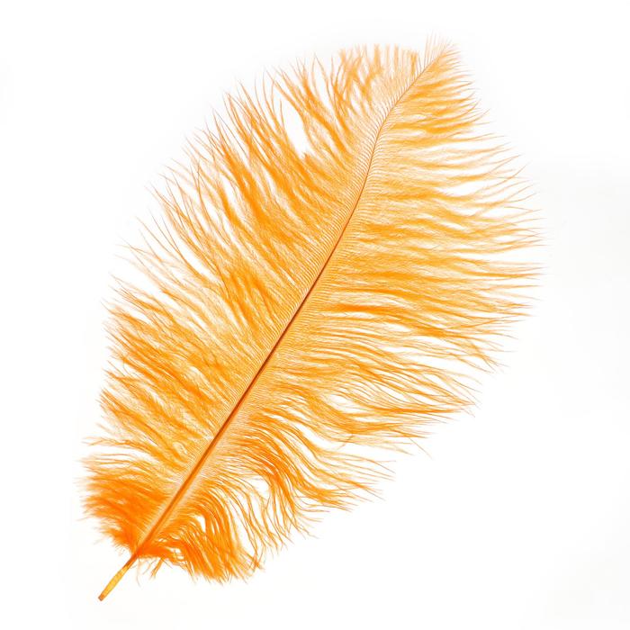 Перо для декора, размер: 30-35 см, цвет оранжевый - Фото 1