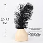 Перо для декора, размер: 30-35 см, цвет чёрный - Фото 2